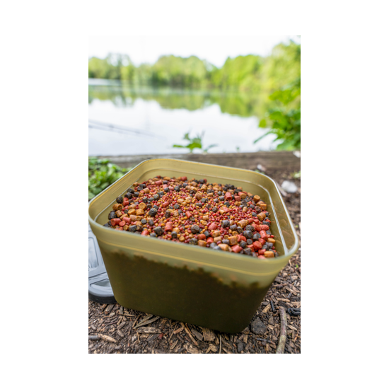 Cutie Momeala Korum - Bait Tub 1PT